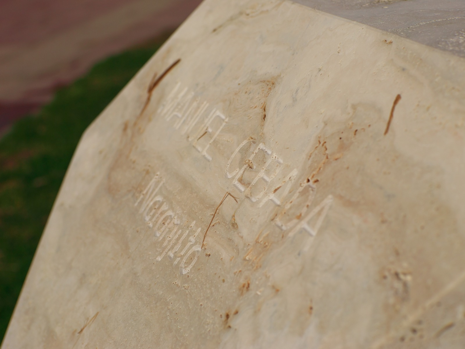 whatsapp image 2026 01 23 at 14.18.27